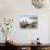 Cacti on Isla De Los Pescadores, and Salt Flats, Salar De Uyuni, Southwest Highlands, Bolivia-Tony Waltham-Photographic Print displayed on a wall