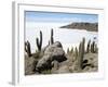 Cacti on Isla De Los Pescadores, and Salt Flats, Salar De Uyuni, Southwest Highlands, Bolivia-Tony Waltham-Framed Photographic Print