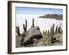 Cacti on Isla De Los Pescadores, and Salt Flats, Salar De Uyuni, Southwest Highlands, Bolivia-Tony Waltham-Framed Photographic Print