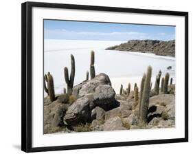 Cacti on Isla De Los Pescadores, and Salt Flats, Salar De Uyuni, Southwest Highlands, Bolivia-Tony Waltham-Framed Photographic Print