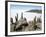 Cacti on Isla De Los Pescadores, and Salt Flats, Salar De Uyuni, Southwest Highlands, Bolivia-Tony Waltham-Framed Photographic Print