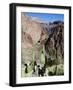 Cacti on the Bright Angel Canyon Hiking Trail, Grand Canyon National Park, Arizona, USA-Kober Christian-Framed Photographic Print