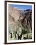 Cacti on the Bright Angel Canyon Hiking Trail, Grand Canyon National Park, Arizona, USA-Kober Christian-Framed Photographic Print