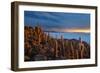 Cacti on the Isla Del Pescado Above the Salar De Uyuni at Sunset-Alex Saberi-Framed Photographic Print