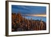 Cacti on the Isla Del Pescado Above the Salar De Uyuni at Sunset-Alex Saberi-Framed Photographic Print