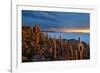 Cacti on the Isla Del Pescado Above the Salar De Uyuni at Sunset-Alex Saberi-Framed Photographic Print