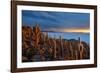 Cacti on the Isla Del Pescado Above the Salar De Uyuni at Sunset-Alex Saberi-Framed Photographic Print