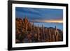 Cacti on the Isla Del Pescado Above the Salar De Uyuni at Sunset-Alex Saberi-Framed Photographic Print