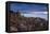 Cacti on the Isla Del Pescado Above the Salar De Uyuni at Sunset-Alex Saberi-Framed Stretched Canvas