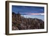 Cacti on the Isla Del Pescado Above the Salar De Uyuni at Sunset-Alex Saberi-Framed Premium Photographic Print