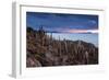 Cacti on the Isla Del Pescado Above the Salar De Uyuni at Sunset-Alex Saberi-Framed Premium Photographic Print