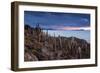 Cacti on the Isla Del Pescado Above the Salar De Uyuni at Sunset-Alex Saberi-Framed Photographic Print