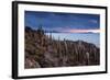 Cacti on the Isla Del Pescado Above the Salar De Uyuni at Sunset-Alex Saberi-Framed Photographic Print
