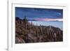 Cacti on the Isla Del Pescado Above the Salar De Uyuni at Sunset-Alex Saberi-Framed Photographic Print