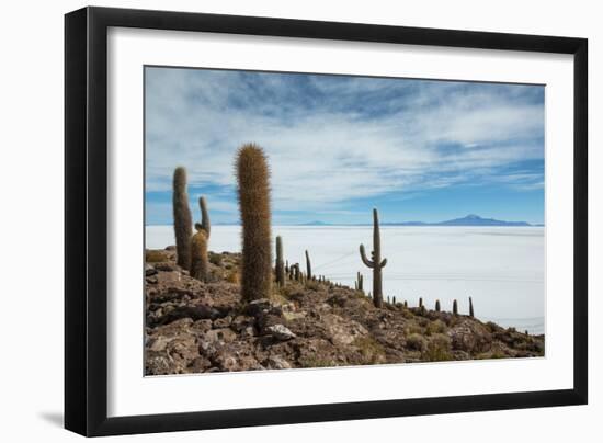 Cacti on the Isla Del Pescado Above the Salar De Uyuni-Alex Saberi-Framed Photographic Print