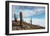 Cacti on the Isla Del Pescado Above the Salar De Uyuni-Alex Saberi-Framed Photographic Print