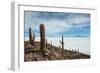 Cacti on the Isla Del Pescado Above the Salar De Uyuni-Alex Saberi-Framed Photographic Print