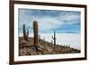 Cacti on the Isla Del Pescado Above the Salar De Uyuni-Alex Saberi-Framed Photographic Print