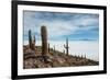 Cacti on the Isla Del Pescado Above the Salar De Uyuni-Alex Saberi-Framed Photographic Print