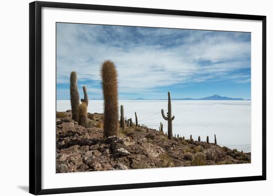 Cacti on the Isla Del Pescado Above the Salar De Uyuni-Alex Saberi-Framed Photographic Print