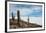 Cacti on the Isla Del Pescado Above the Salar De Uyuni-Alex Saberi-Framed Photographic Print