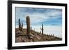 Cacti on the Isla Del Pescado Above the Salar De Uyuni-Alex Saberi-Framed Photographic Print