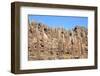 Cacti on the Isla Del Pescado-tkv-Framed Photographic Print
