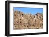 Cacti on the Isla Del Pescado-tkv-Framed Photographic Print