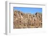 Cacti on the Isla Del Pescado-tkv-Framed Photographic Print