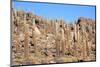 Cacti on the Isla Del Pescado-tkv-Mounted Photographic Print