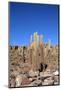 Cacti on the Isla Del Pescado-tkv-Mounted Photographic Print