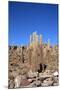 Cacti on the Isla Del Pescado-tkv-Mounted Photographic Print