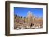 Cacti on the Isla Del Pescado-tkv-Framed Photographic Print