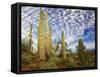 Cacti View III-David Drost-Framed Stretched Canvas
