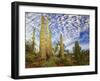 Cacti View III-David Drost-Framed Photographic Print