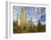 Cacti View III-David Drost-Framed Photographic Print