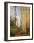 Cacti View IV-David Drost-Framed Photographic Print