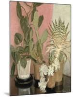 Cacti-Leonard Campbell Taylor-Mounted Giclee Print
