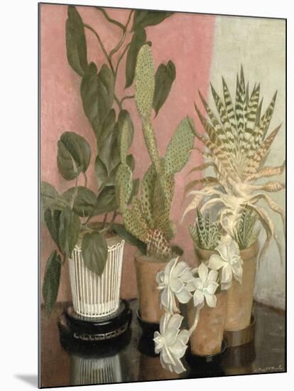 Cacti-Leonard Campbell Taylor-Mounted Giclee Print