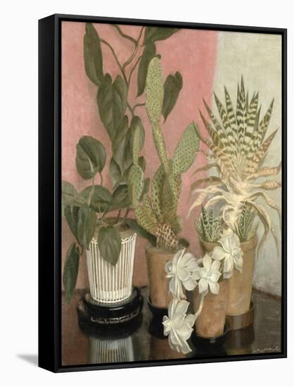 Cacti-Leonard Campbell Taylor-Framed Stretched Canvas