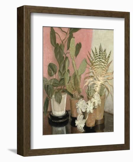 Cacti-Leonard Campbell Taylor-Framed Giclee Print