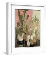 Cacti-Leonard Campbell Taylor-Framed Giclee Print