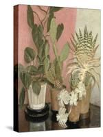 Cacti-Leonard Campbell Taylor-Stretched Canvas