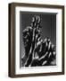 Cactus, 1934-Brett Weston-Framed Photographic Print