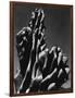 Cactus, 1934-Brett Weston-Framed Photographic Print