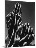 Cactus, 1934-Brett Weston-Mounted Photographic Print