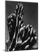 Cactus, 1934-Brett Weston-Mounted Photographic Print