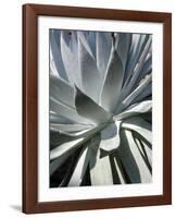 Cactus 1-Jenny Kraft-Framed Art Print