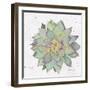 Cactus 1-Beverly Dyer-Framed Art Print