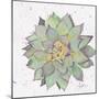 Cactus 1-Beverly Dyer-Mounted Art Print